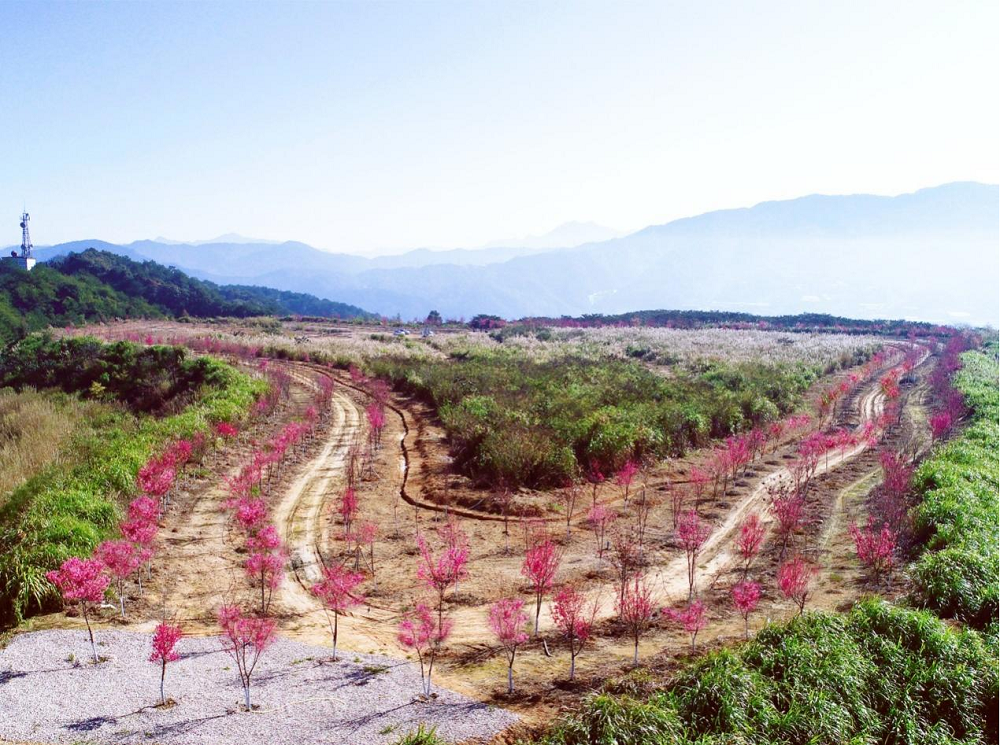 图片2.png 图片2.png